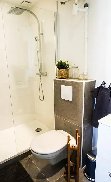 Le Cocon Lumiere Apartment Lyon