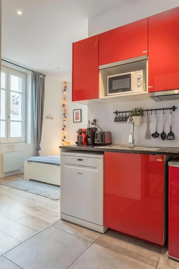Le Cocon Lumiere Apartment Lyon